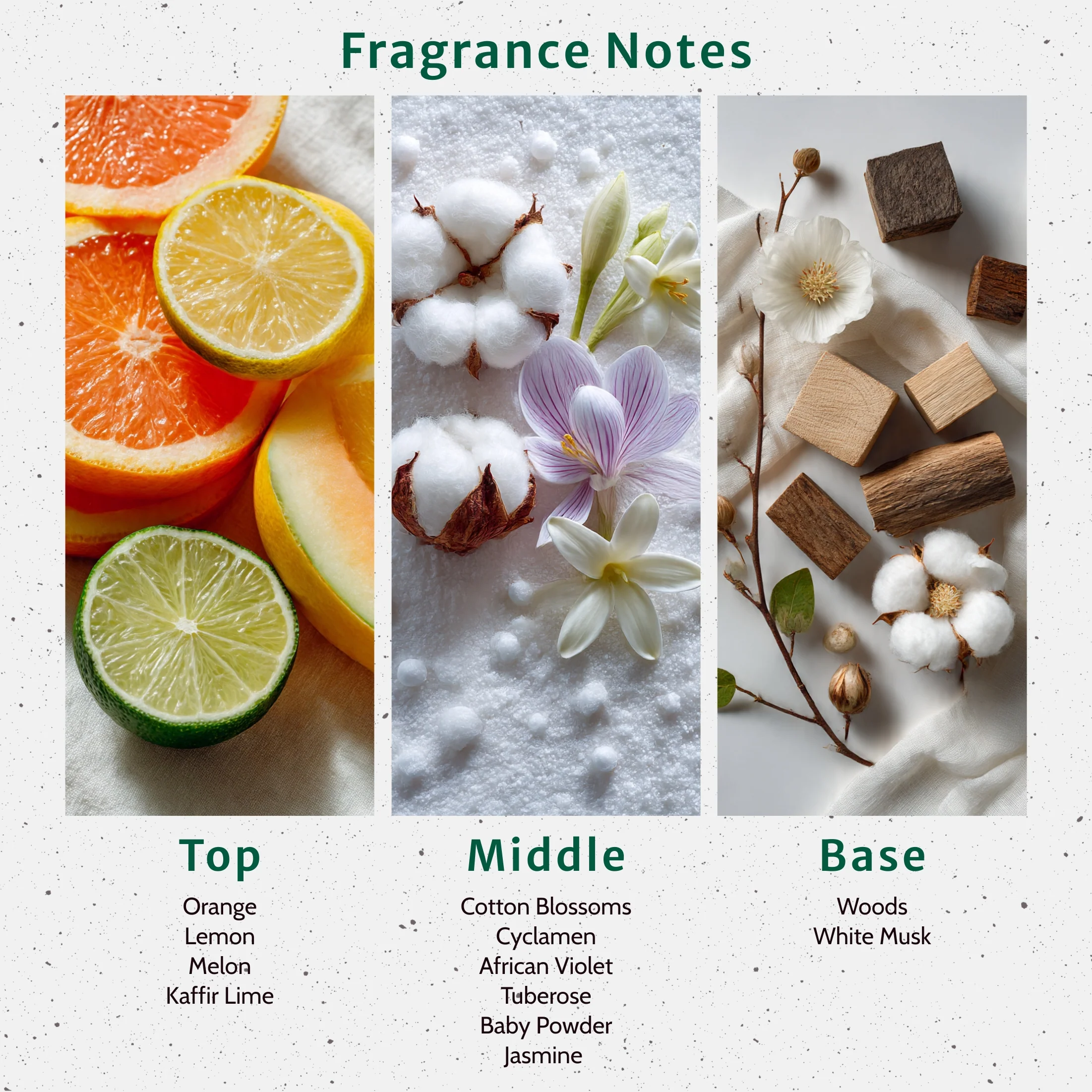 Clean Fresh Cotton Fragrance Oil - Image 2