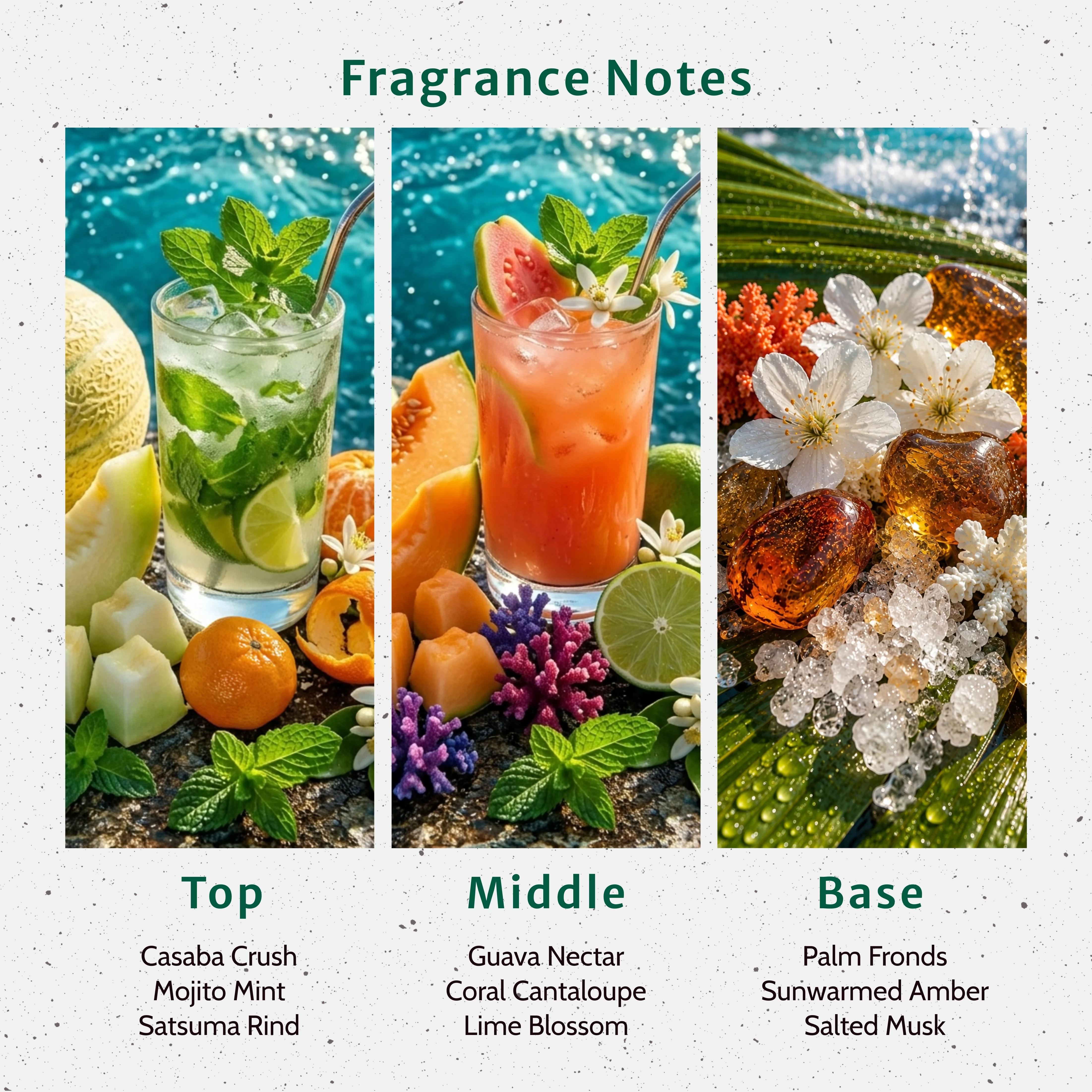 Coral Crush Fragrance Oil - Image 2