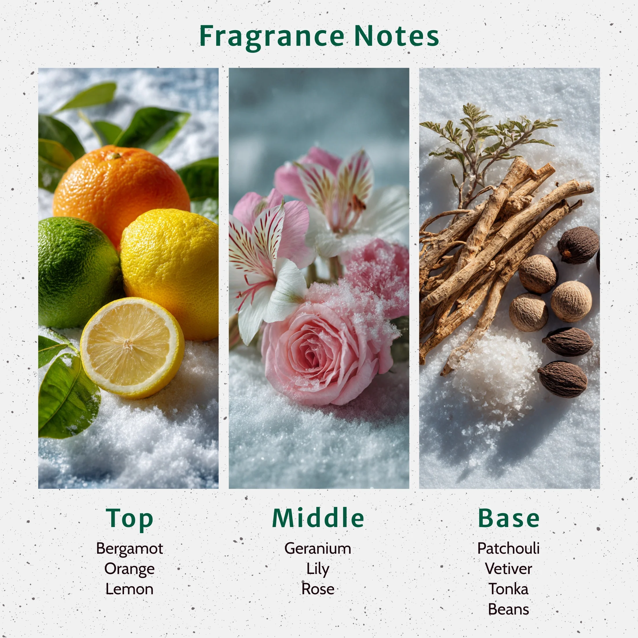Cracklin Birch Fragrance Oil - Image 2