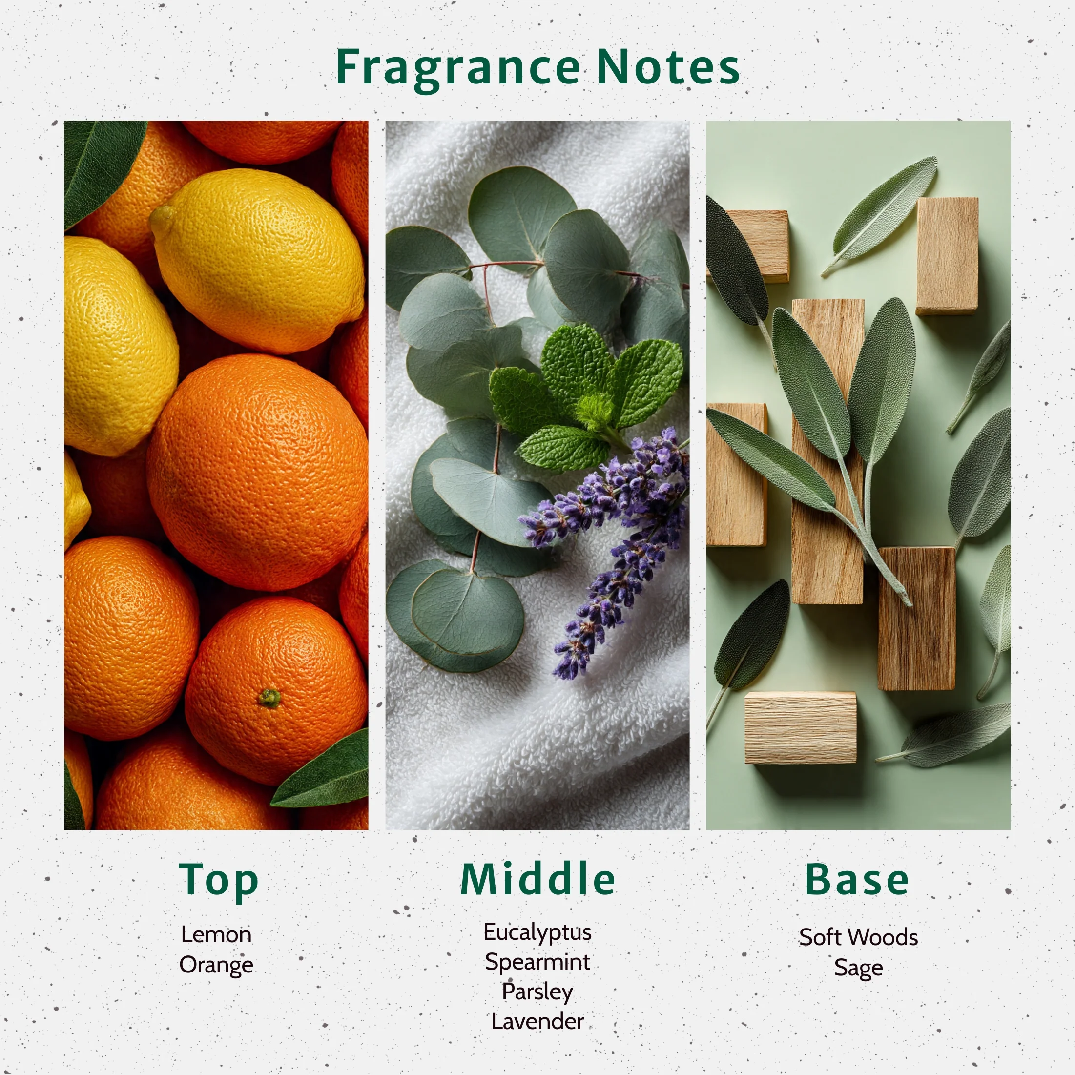 Eucalyptus & Spearmint Fragrance Oil - Image 2