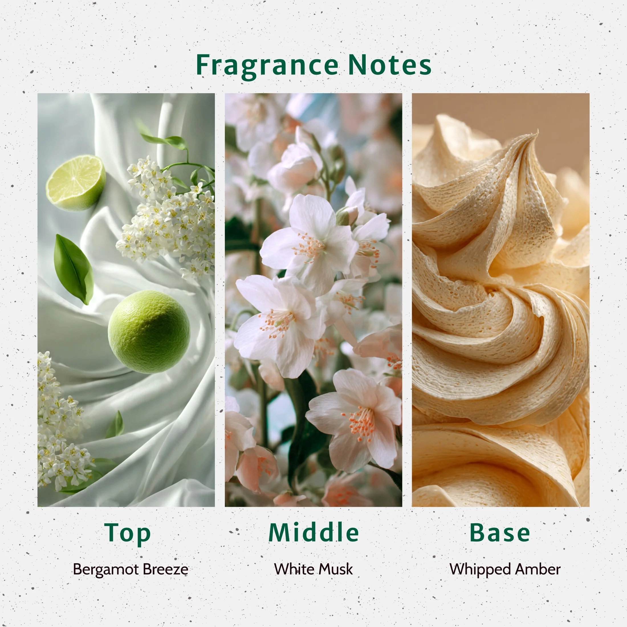 Milky Mood Fragrance Oil - Image 2