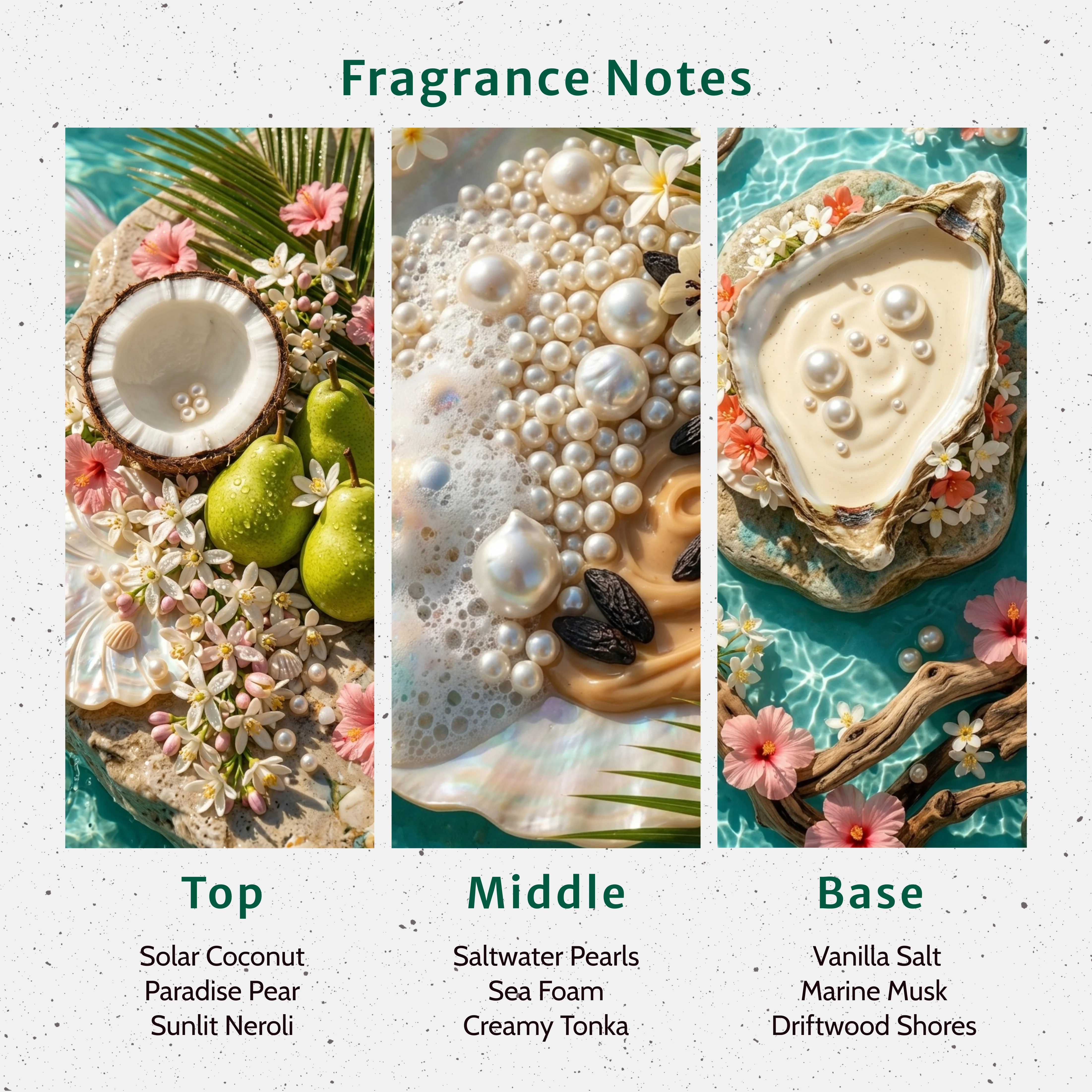Paradise Pearl Fragrance Oil - Image 2