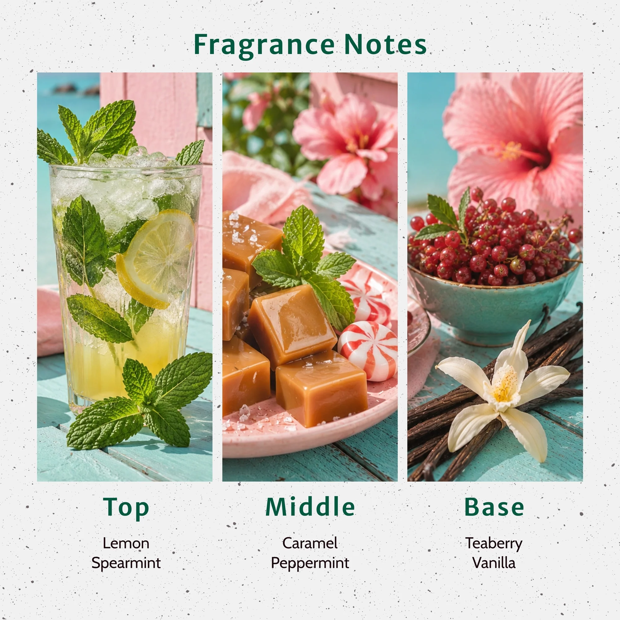 Santa's Tiki Bar Fragrance Oil - Image 2